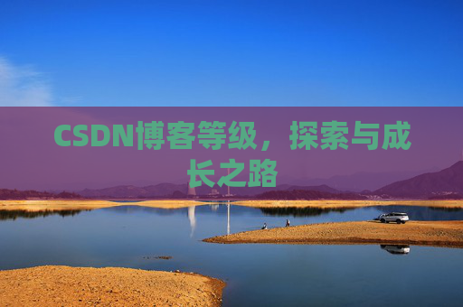 CSDN博客等级，探索与成长之路